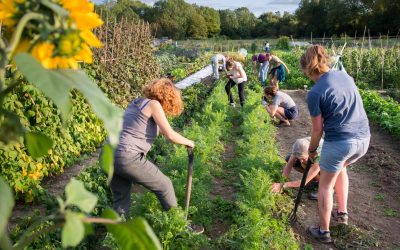 L’esperienza delle community farm in italia
