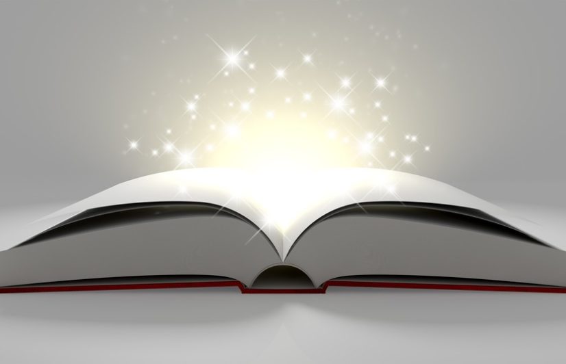 Impresa sociale non cooperativa